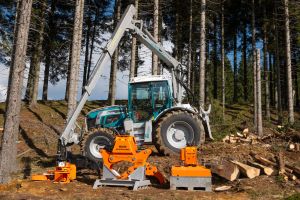  c  bernhard bergmann