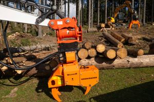  c  bernhard bergmann