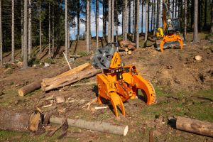  c  bernhard bergmann