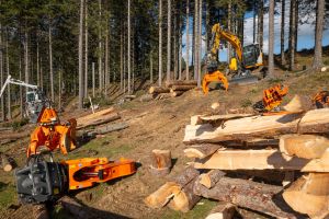  c  bernhard bergmann