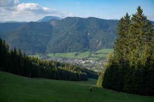  c  bernhard bergmann