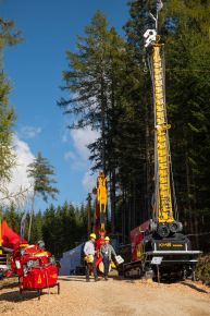  c  bernhard bergmann