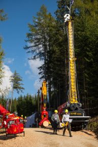  c  bernhard bergmann