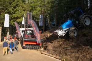  c  bernhard bergmann