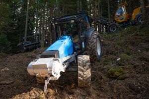  c  bernhard bergmann