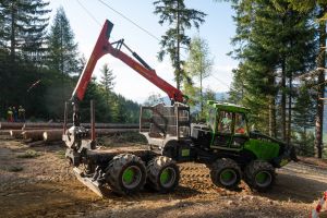  c  bernhard bergmann