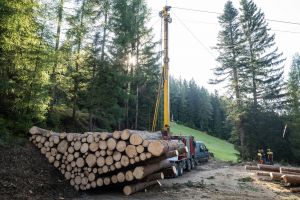  c  bernhard bergmann