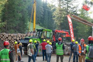  c  bernhard bergmann