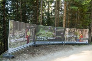  c  bernhard bergmann