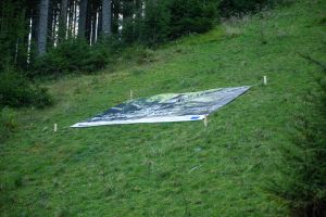  c  bernhard bergmann