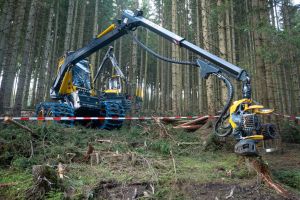  c  bernhard bergmann