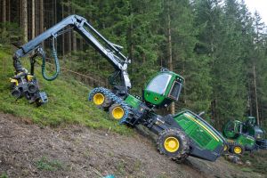  c  bernhard bergmann