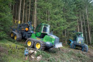  c  bernhard bergmann