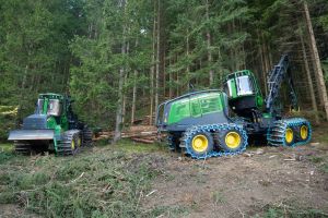  c  bernhard bergmann