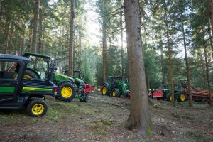  c  bernhard bergmann