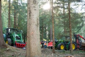  c  bernhard bergmann