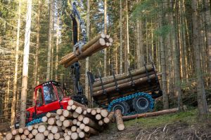  c  bernhard bergmann