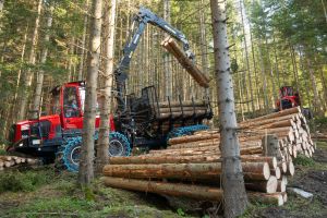  c  bernhard bergmann