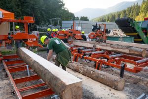  c  bernhard bergmann